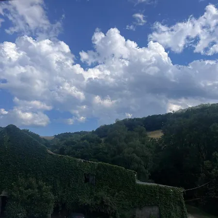 Belvedere 1877 Sylvanes