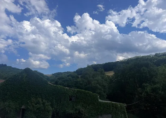 Belvedere 1877 Sylvanes